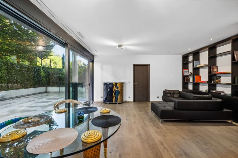 Magnificent 4-room apartment with terrace (2)