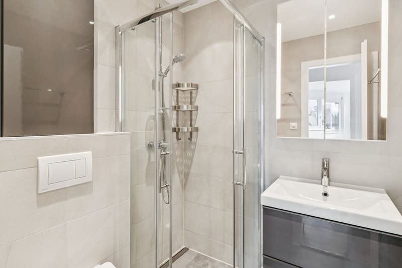5.5 rooms renovated with independent studio A rare opportunity (8)