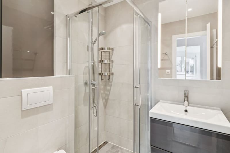 5.5 rooms renovated with independent studio A rare opportunity (13)