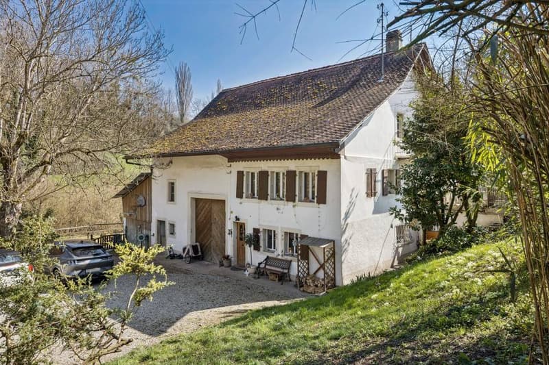 Ferme  rénovée (5)