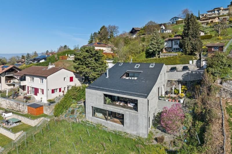 Duplex d'eccezione sospeso sopra il Lago di Ginevra (13)