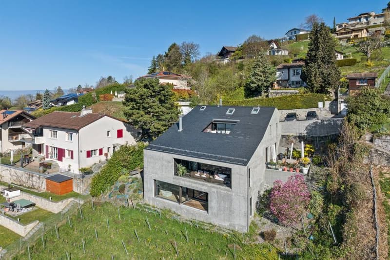 Exceptional duplex suspended above Lake Geneva (13)