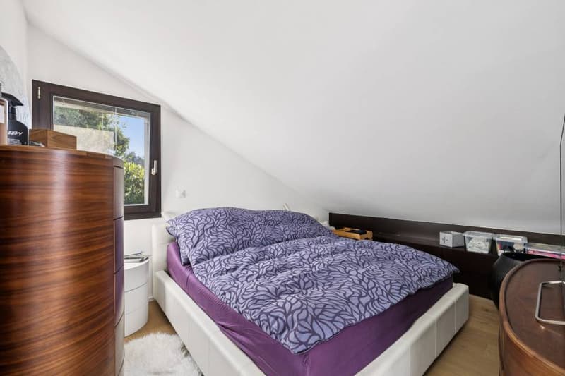 Exceptional duplex suspended above Lake Geneva (9)