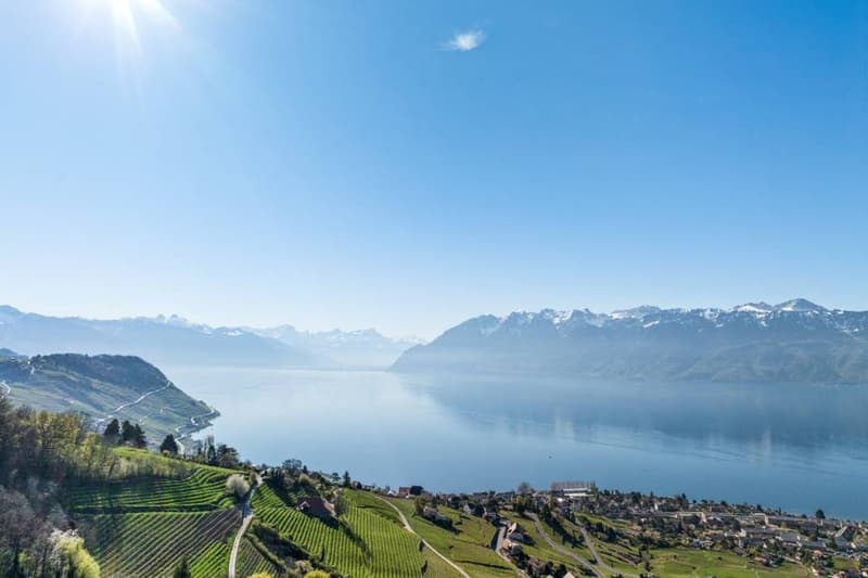 Duplex d'eccezione sospeso sopra il Lago di Ginevra (12)