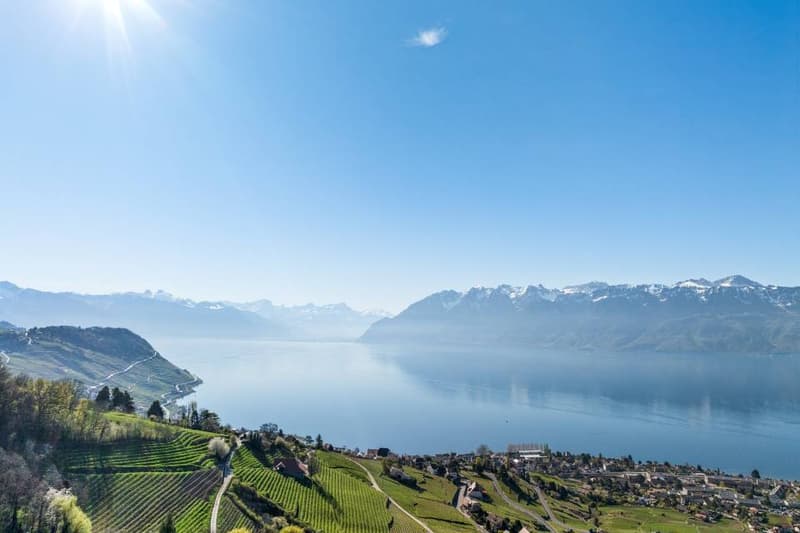 Exceptional duplex suspended above Lake Geneva (12)