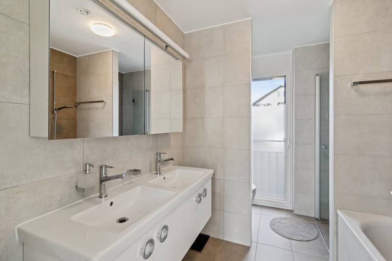 High-end in St-Sulpice VD (11)