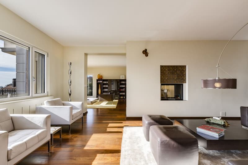 Spacieuse propriété moderne à la situation dominante (8)