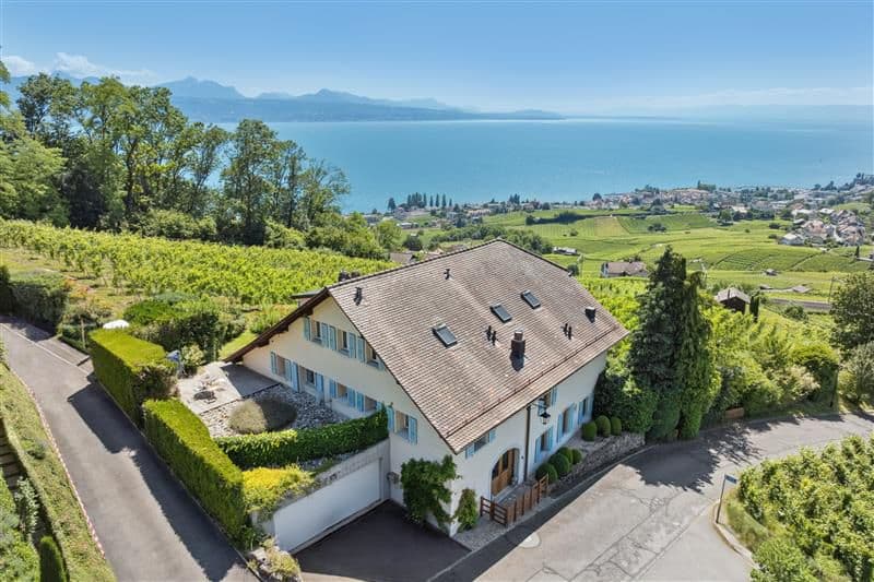 In the heart of the vineyards, an exceptional winemaker's house facing Lake Geneva (5)