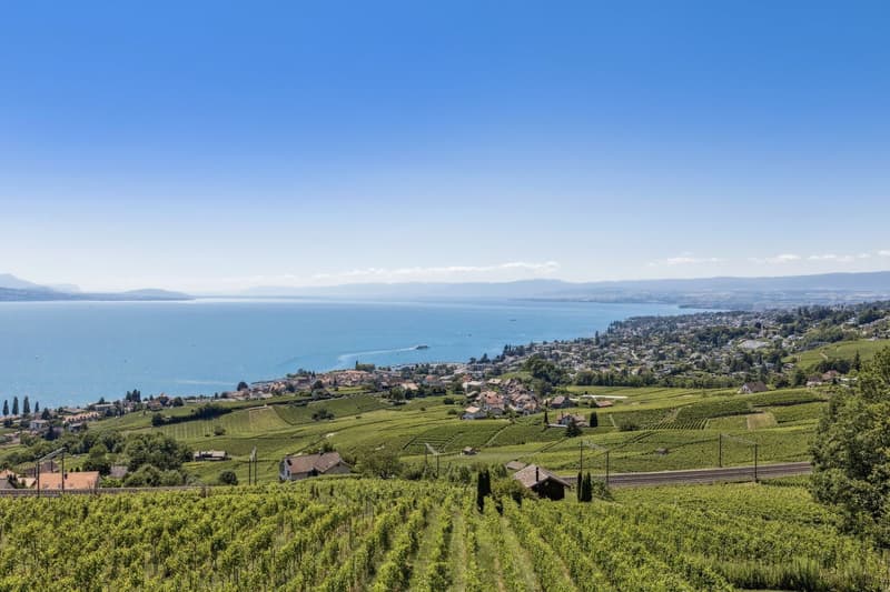 In the heart of the vineyards, an exceptional winemaker's house facing Lake Geneva (4)