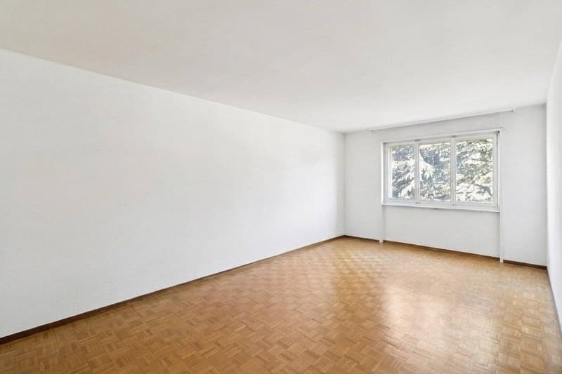 Spacious apartment to renovate in the center of Chailly (6)