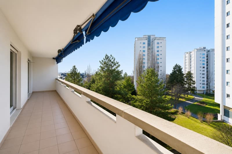 Spacious apartment to renovate in the center of Chailly (3)