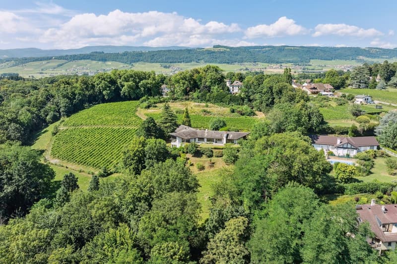 Schönes Anwesen in Dully (1)