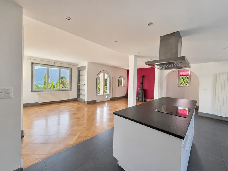 Superbe appartement avec grand jardin - Magnifique vue sur le lac (3)