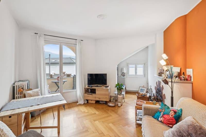 Beautiful 2.5 rooms - Very beautiful view of the lake (2)