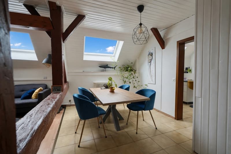 Maison paysanne de 1714 -- Trois logements, triplex familial et deux 2 (5)