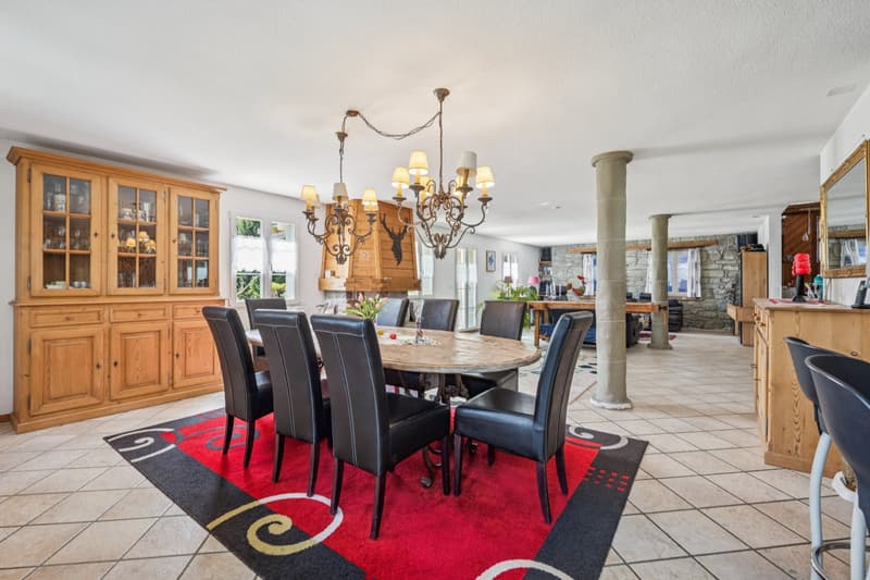 Exceptional 8-room estate with tree-lined park and pool in Montprev (9)