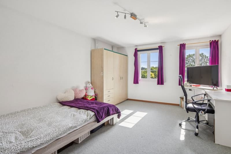 Exceptional 8-room estate with tree-lined park and swimming pool in Montprev (13)