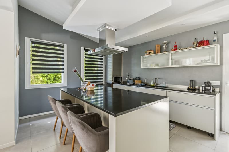Exceptional contemporary individual villa in the heart of Epalinges (4)