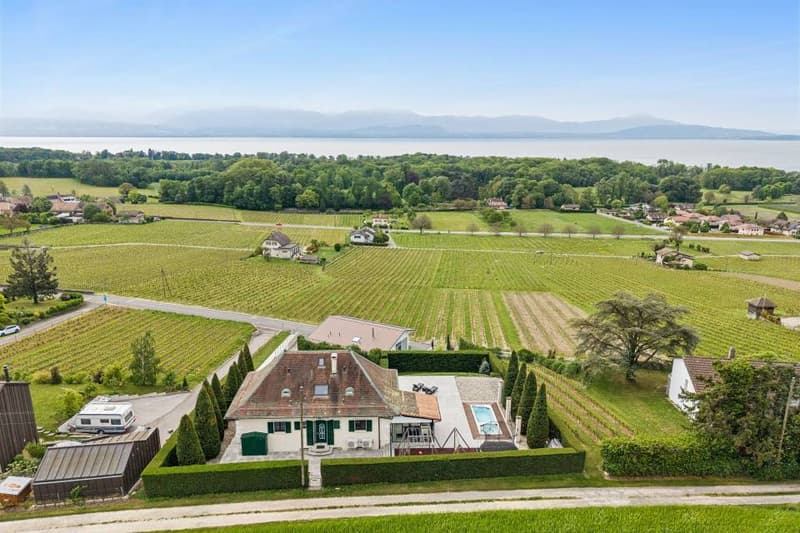 Individual villa in the heart of the vineyards with panoramic view of the lake (2)
