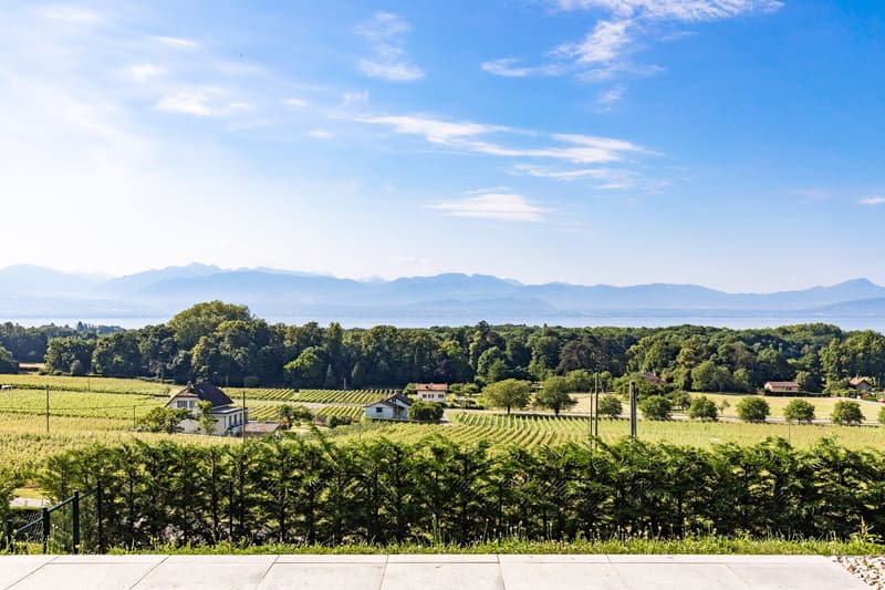 Individual villa in the heart of the vineyards with panoramic view of the lake (1)