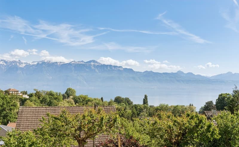 Duplex with exceptional view of the lake - A terrace on Lake Geneva (3)