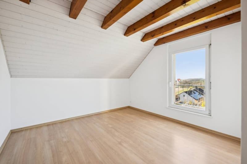 Beautiful family home, 10 minutes from Lausanne (12)