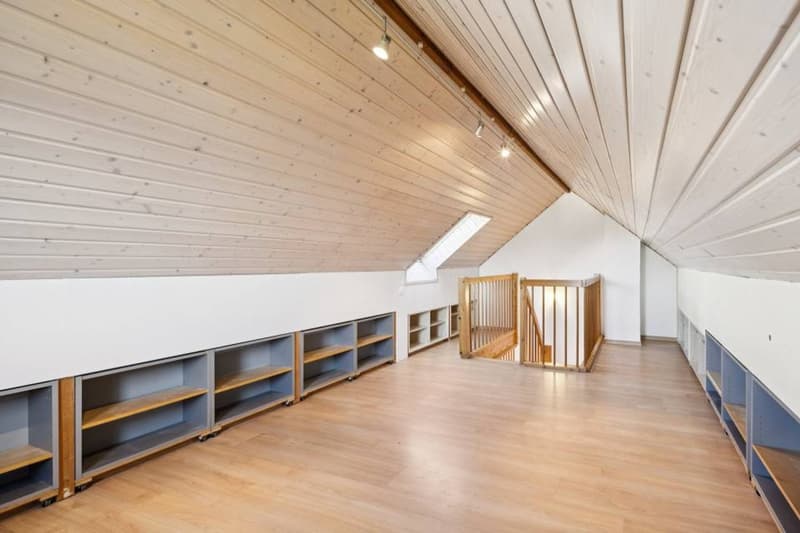Magnificent family house, 10 minutes from Lausanne (10)