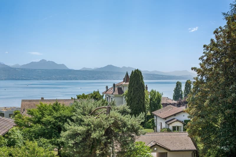 Charming Property between Pully Village and Lake Geneva (1)