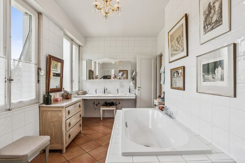 Charming Property between Pully Village and Lake Geneva (8)