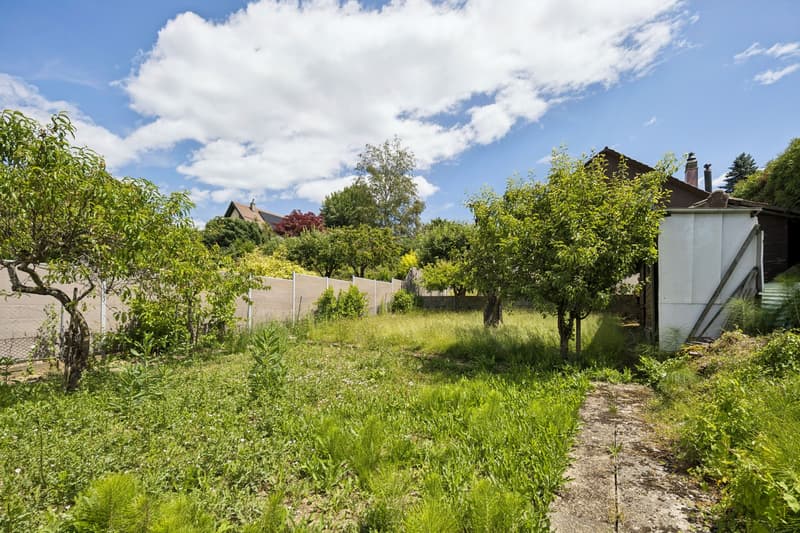 Einzigartiges Familienhaus - eine Investitionsmöglichkeit (3)