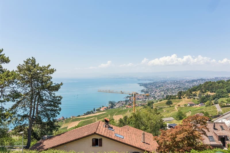 Propriété entre ciel, lac et vignes offrant un panorama d'exception! (1)