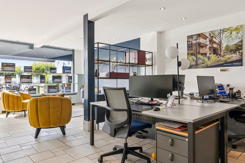 Rare investment opportunity in the city center with a lake view (5)