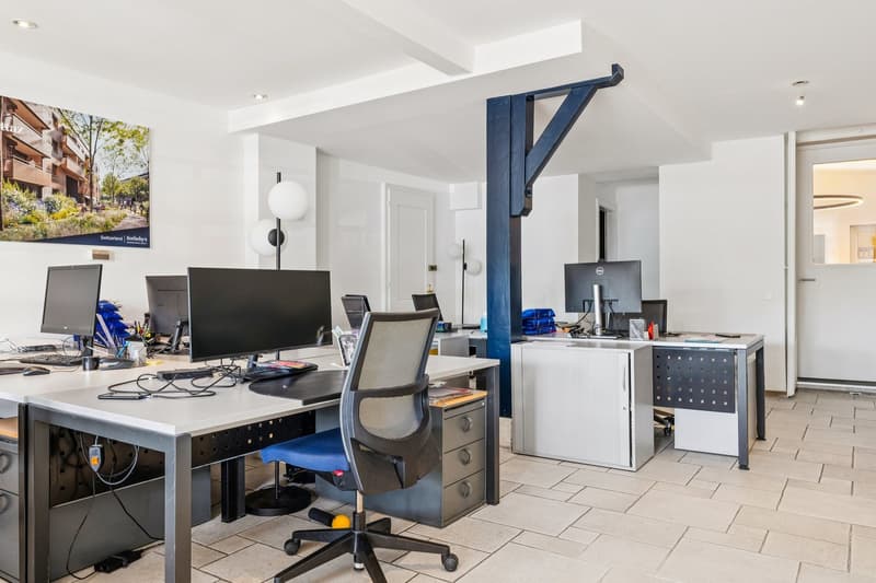 Rare investment opportunity in the city center with a lake view (4)