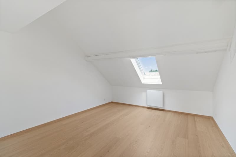 Magnificent 5.5-room renovated apartment (4)