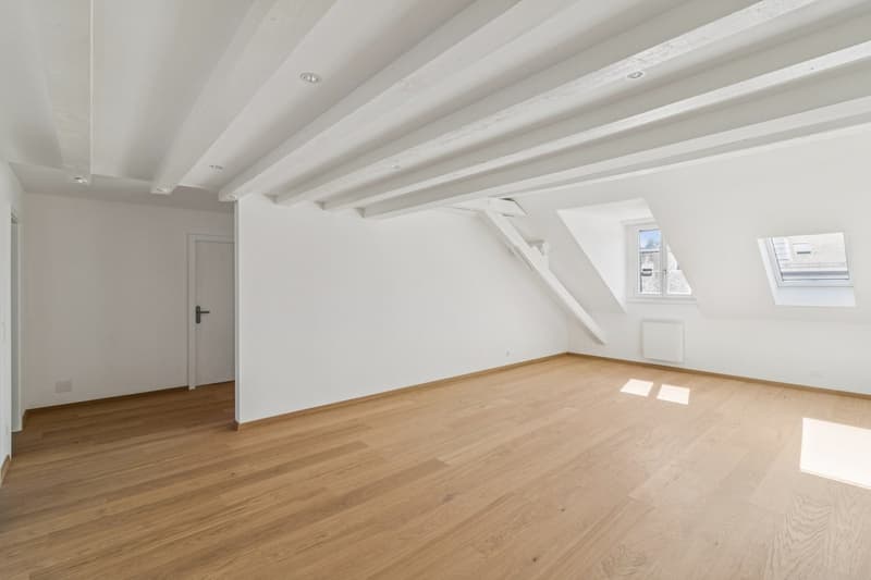 Magnificent 5.5-room renovated apartment (10)