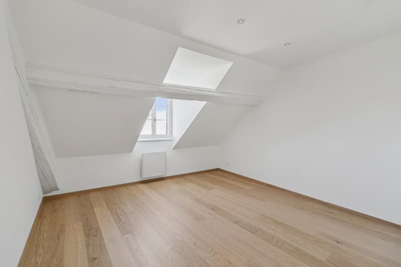 Magnificent 5.5-room renovated apartment (5)