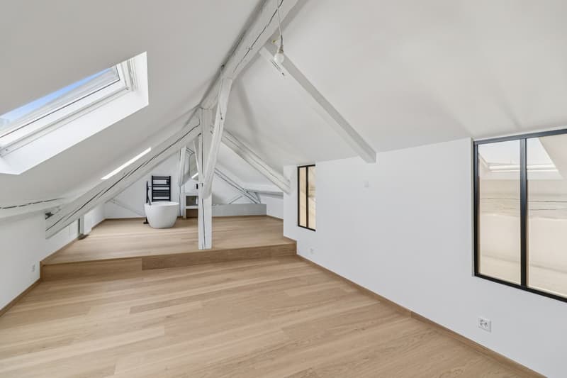 Magnificent 5.5-room renovated apartment (3)