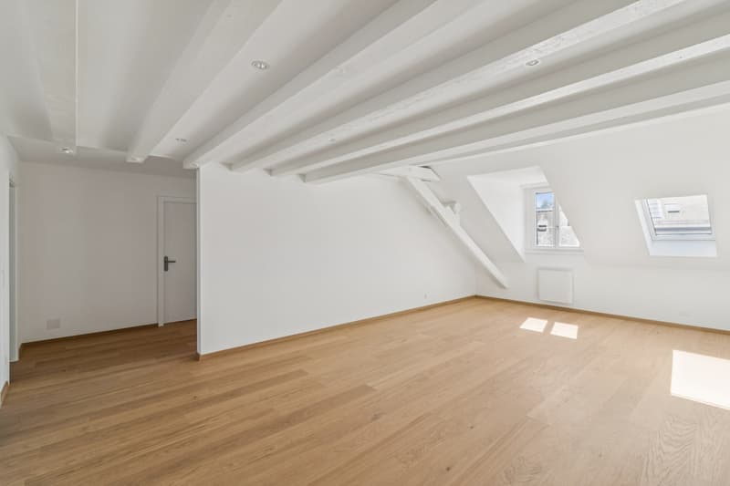 Magnificent 5.5-room renovated apartment (10)