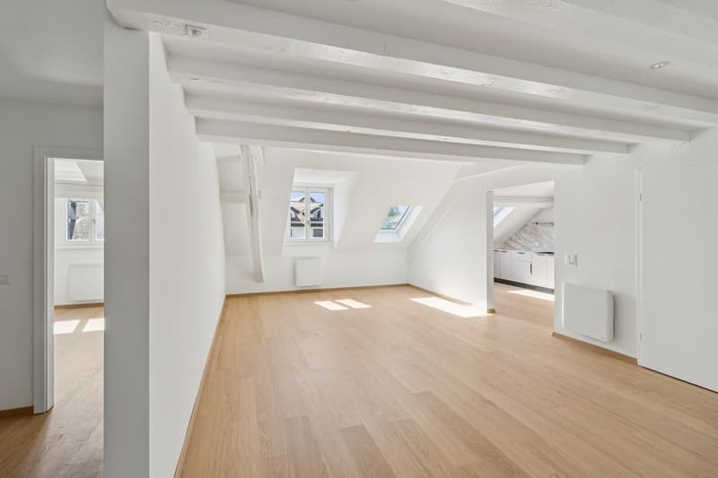 Magnificent 5.5-room renovated apartment (9)