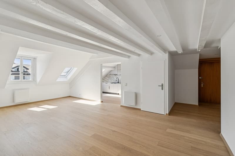 Magnificent 5.5-room renovated apartment (8)