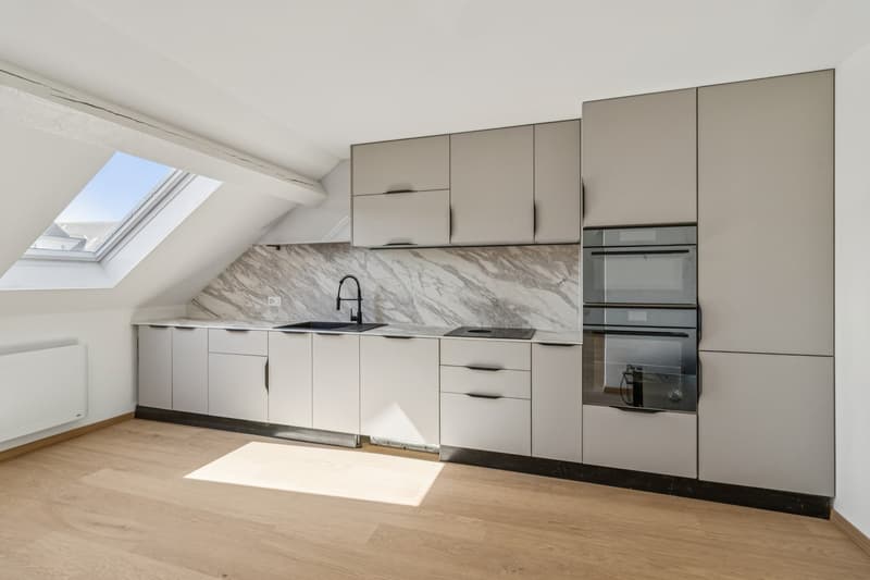 Magnificent 5.5-room renovated apartment (7)