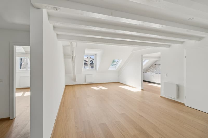 Magnificent 5.5-room renovated apartment (9)