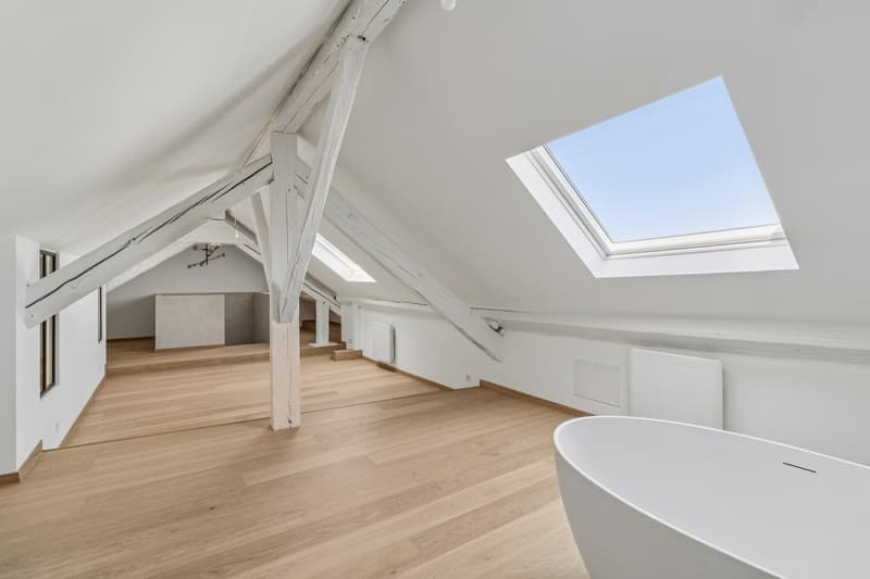 Magnificent 5.5-room renovated apartment (2)