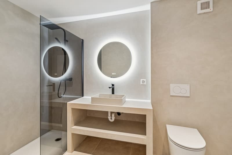 Magnificent 5.5-room renovated apartment (6)