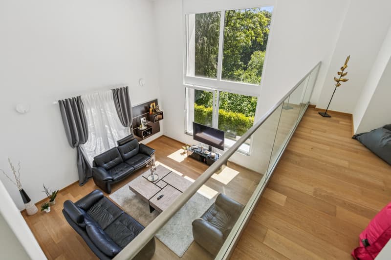 Villa individuelle contemporaine d'exception au coeur d'Epalinges (1)