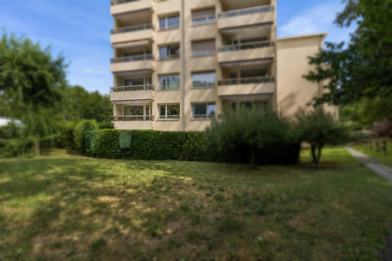 Un appartement lumineux offrant un magnifique potentiel (8)