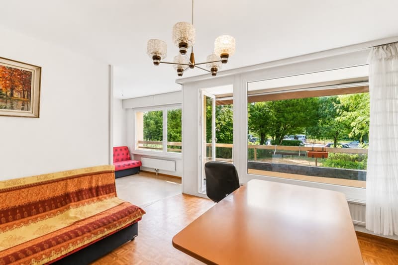Un appartement lumineux offrant un magnifique potentiel (7)