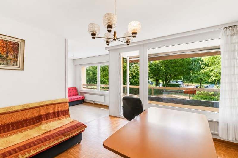 Un appartement lumineux offrant un magnifique potentiel (7)