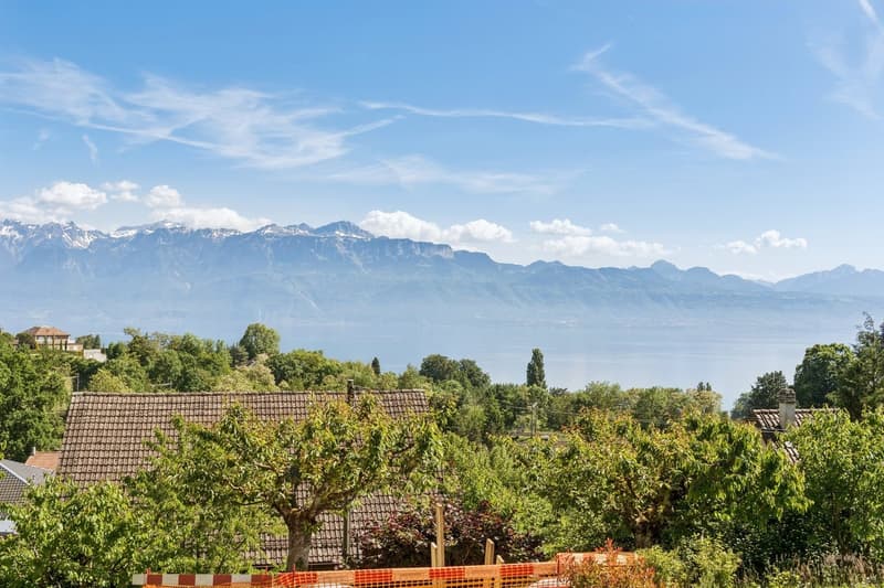 Duplex avec vue exceptionnelle sur le lac - Une terrasse sur le Léman (10)