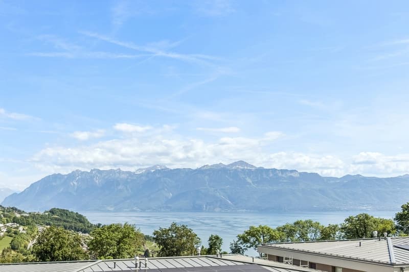Un panorama d'exception sur le Léman à la Croix-sur-Lutry (1)